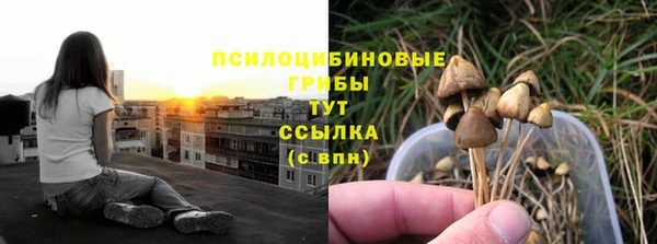 каннабис Новокубанск
