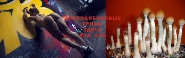 каннабис Новокубанск