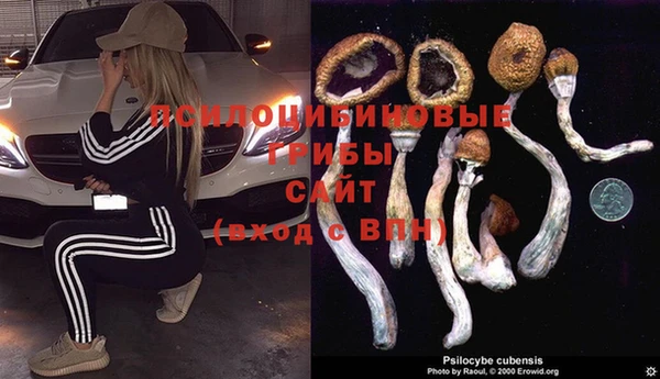 каннабис Новокубанск