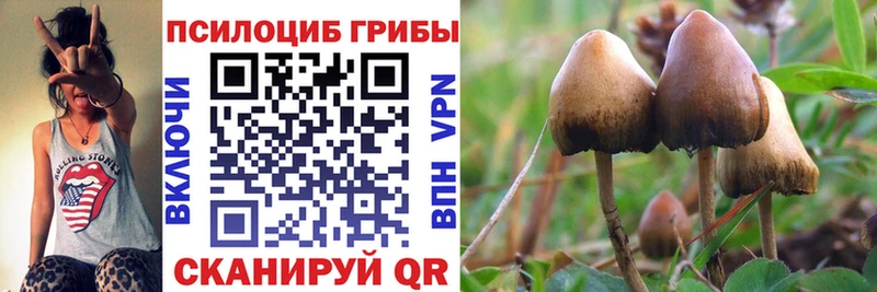 ОМГ ОМГ вход  Домодедово  Псилоцибиновые грибы Psilocybe  купить закладку 