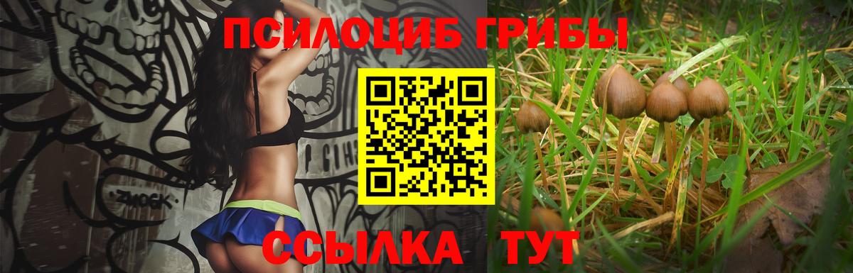 Домодедово  Псилоцибиновые грибы Psilocybe  Вход с VPN 