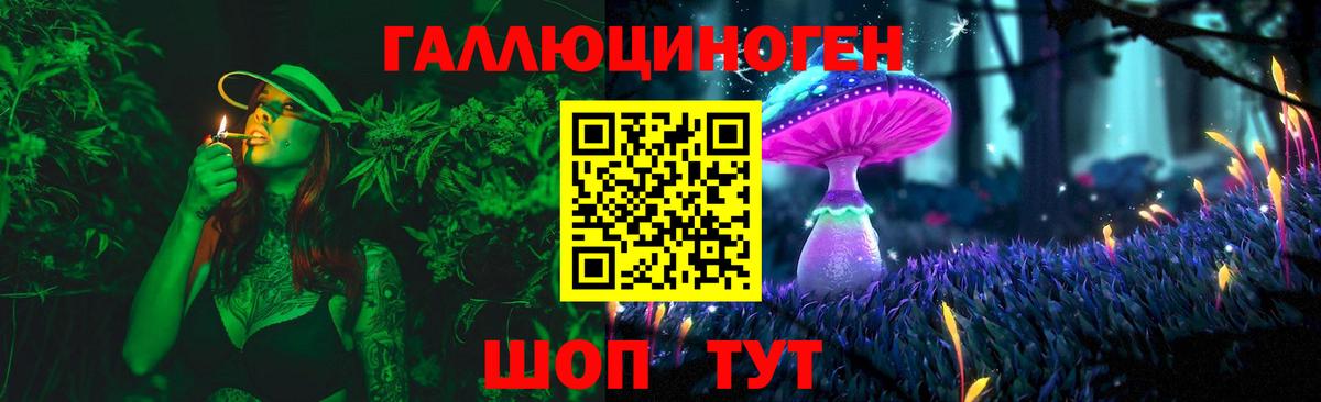 Галлюциногенные грибы мухоморы Домодедово